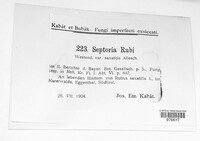 Mycosphaerella rubi image